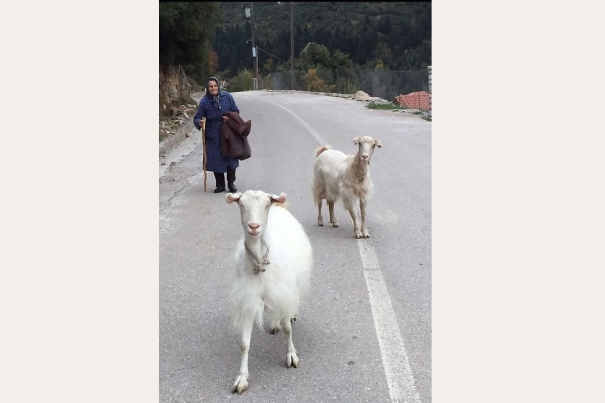 Entdecken Sie Kreta mit Eye Travel Excursions Jeep-Safari in den Bergen